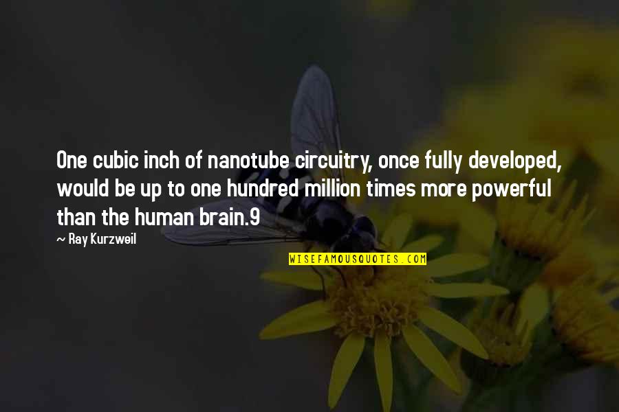 Veilig Leren Quotes By Ray Kurzweil: One cubic inch of nanotube circuitry, once fully