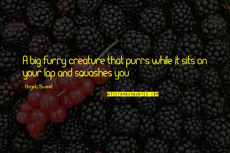 Veilleux Bay Quotes By Angela Sweet: A big furry creature that purrs while it