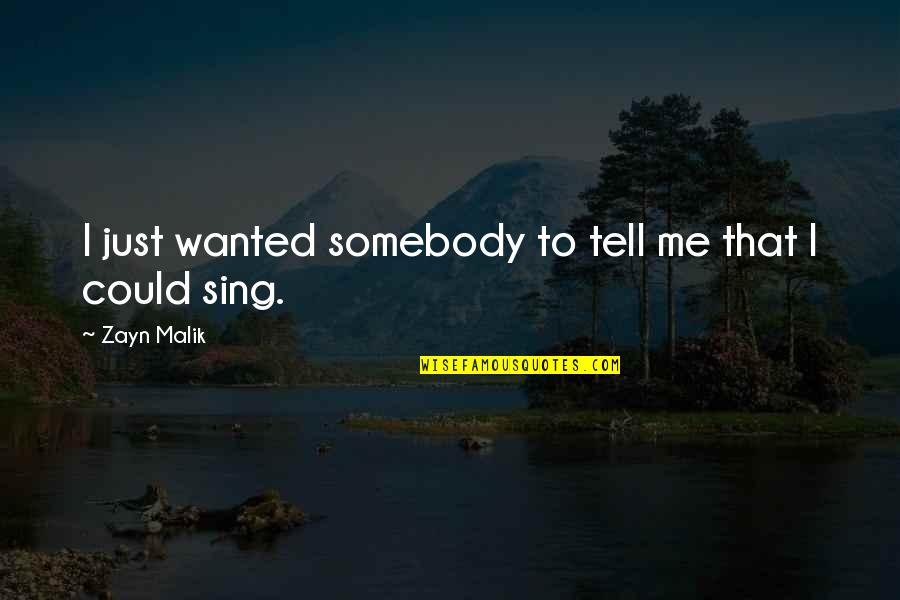 Velardi Giornalista Quotes By Zayn Malik: I just wanted somebody to tell me that