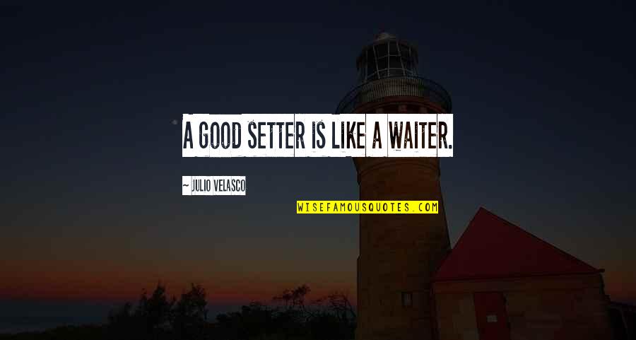 Velasco Quotes By Julio Velasco: A good setter is like a waiter.
