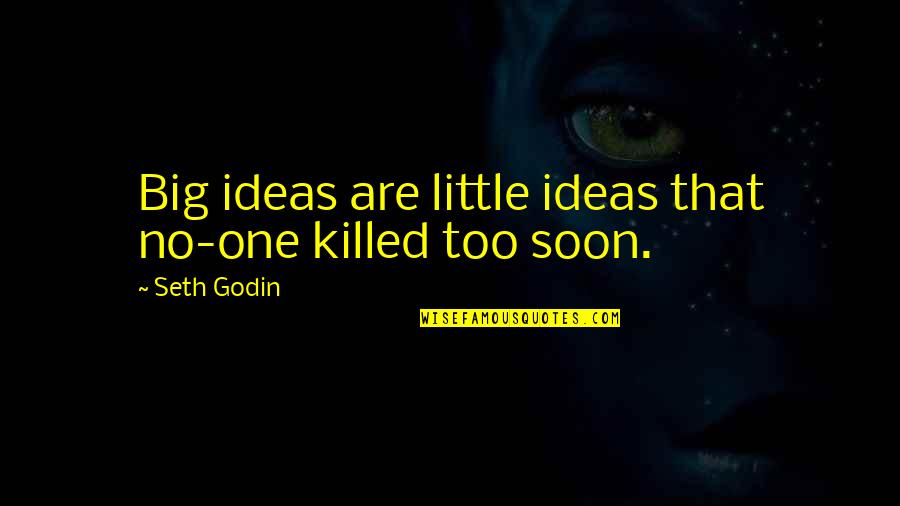 Velez Colombian Quotes By Seth Godin: Big ideas are little ideas that no-one killed