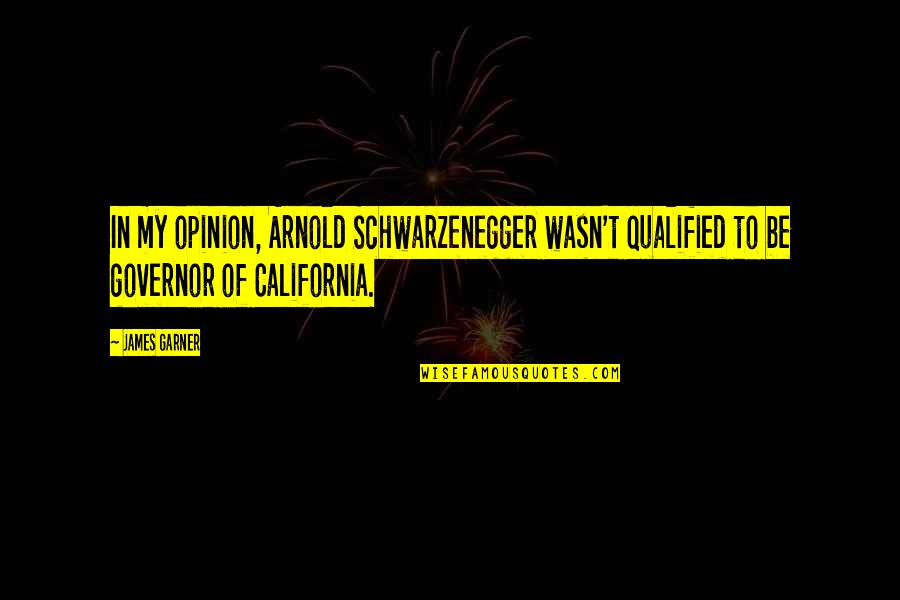 Velicon Quotes By James Garner: In my opinion, Arnold Schwarzenegger wasn't qualified to