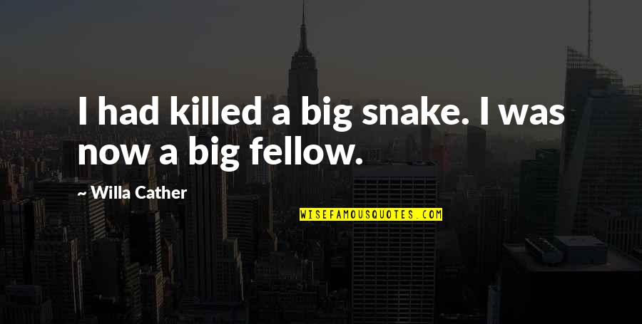 Velieved Quotes By Willa Cather: I had killed a big snake. I was