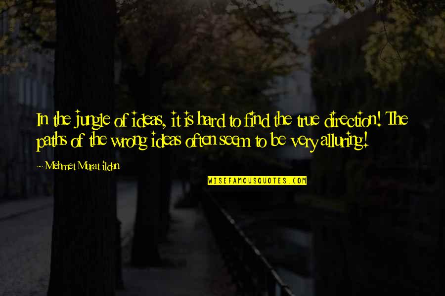 Velimirovac Quotes By Mehmet Murat Ildan: In the jungle of ideas, it is hard