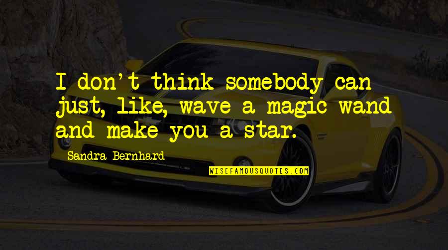 Vellano Estate Quotes By Sandra Bernhard: I don't think somebody can just, like, wave
