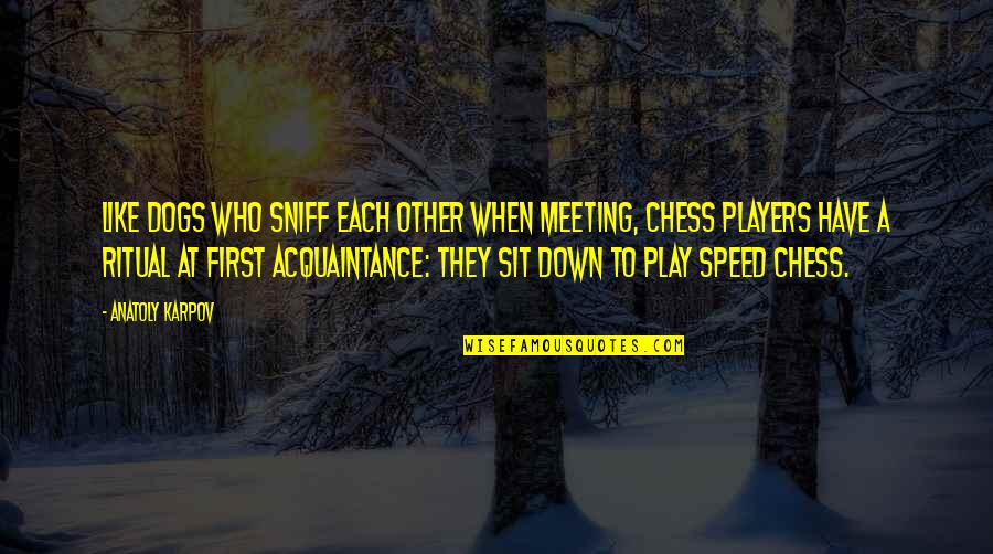 Vellayappa Quotes By Anatoly Karpov: Like dogs who sniff each other when meeting,