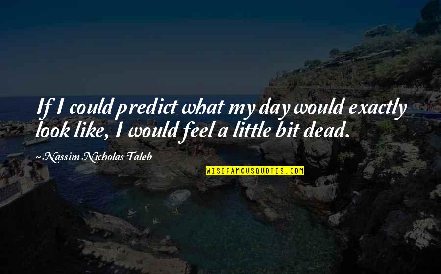 Veloce Apartments Quotes By Nassim Nicholas Taleb: If I could predict what my day would