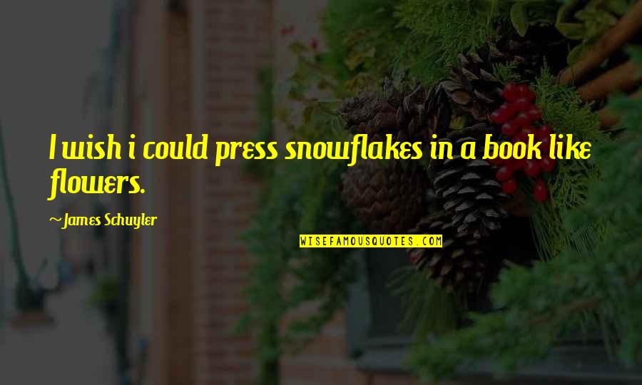 Velrios Quotes By James Schuyler: I wish i could press snowflakes in a