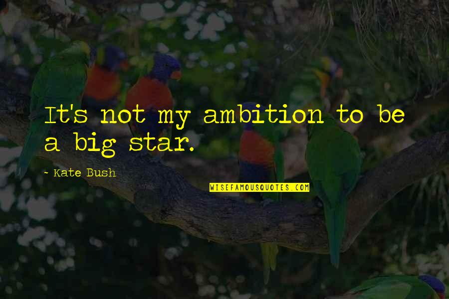 Velutinids Quotes By Kate Bush: It's not my ambition to be a big Velutinids Quotes By Kate Bush: It's not my ambition to be a big