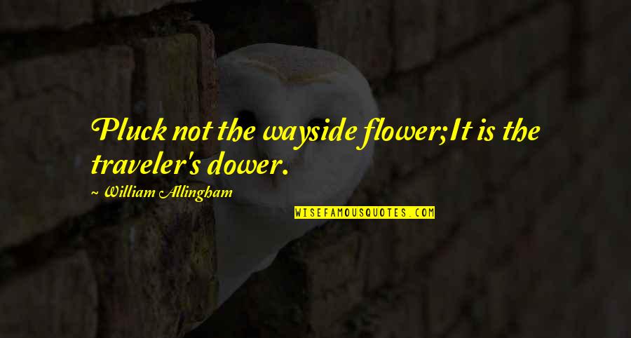Vendiagram Quotes By William Allingham: Pluck not the wayside flower;It is the traveler's