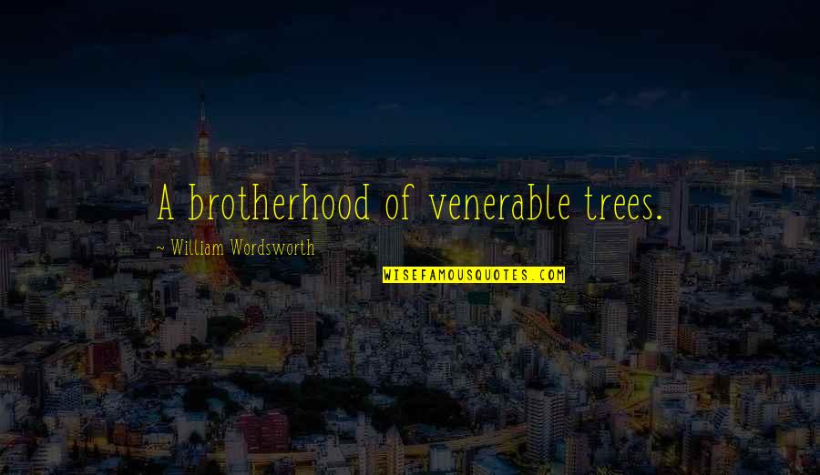 Venerable Quotes By William Wordsworth: A brotherhood of venerable trees.