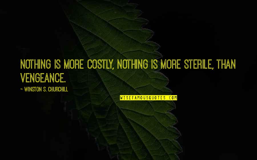 Vengeance Is Mine Quotes By Winston S. Churchill: Nothing is more costly, nothing is more sterile,