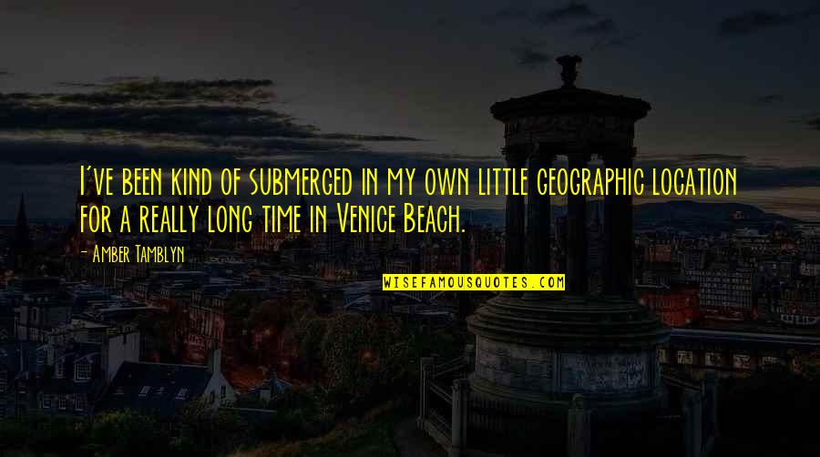 Venice Beach Quotes By Amber Tamblyn: I've been kind of submerged in my own