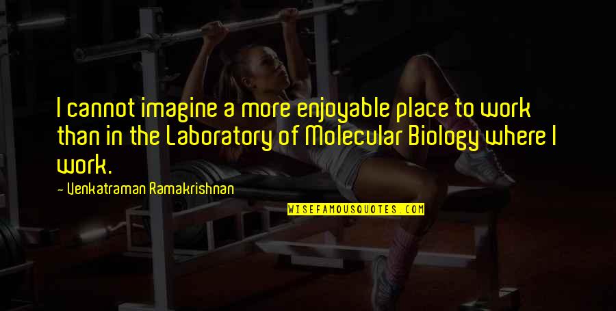 Venkatraman Quotes By Venkatraman Ramakrishnan: I cannot imagine a more enjoyable place to Venkatraman Quotes By Venkatraman Ramakrishnan: I cannot imagine a more enjoyable place to
