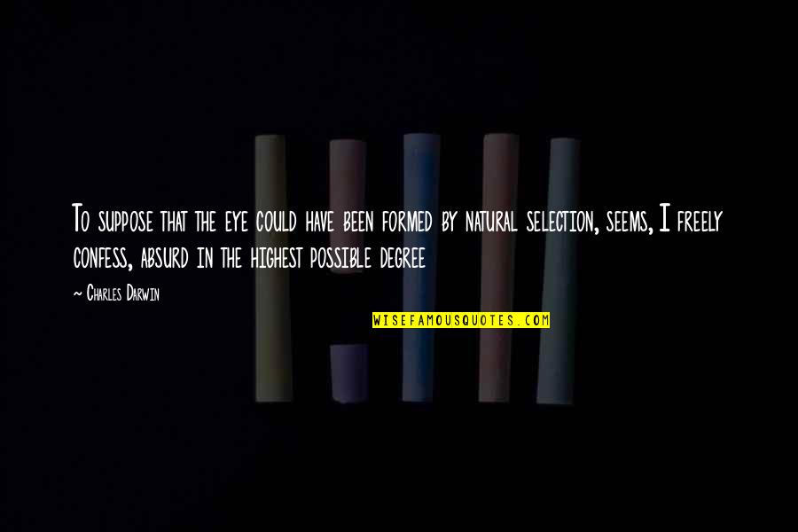Ventano At Mountain Quotes By Charles Darwin: To suppose that the eye could have been Ventano At Mountain Quotes By Charles Darwin: To suppose that the eye could have been