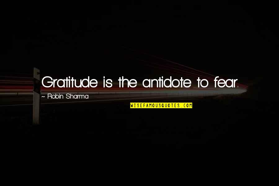 Venus In Fur Movie Quotes By Robin Sharma: Gratitude is the antidote to fear.