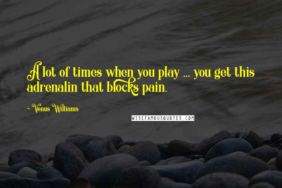 Venus Williams quotes: A lot of times when you play ... you get this adrenalin that blocks pain.