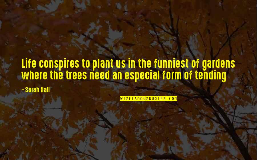 Venutech Quotes By Sarah Hall: Life conspires to plant us in the funniest