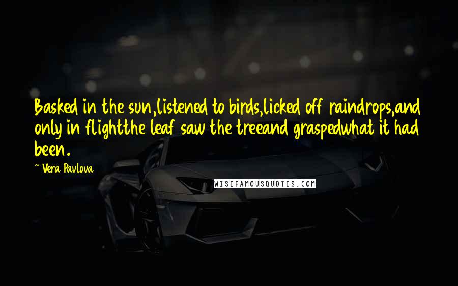Vera Pavlova quotes: Basked in the sun,listened to birds,licked off raindrops,and only in flightthe leaf saw the treeand graspedwhat it had been. Vera Pavlova quotes: Basked in the sun,listened to birds,licked off raindrops,and only in flightthe leaf saw the treeand graspedwhat it had been.