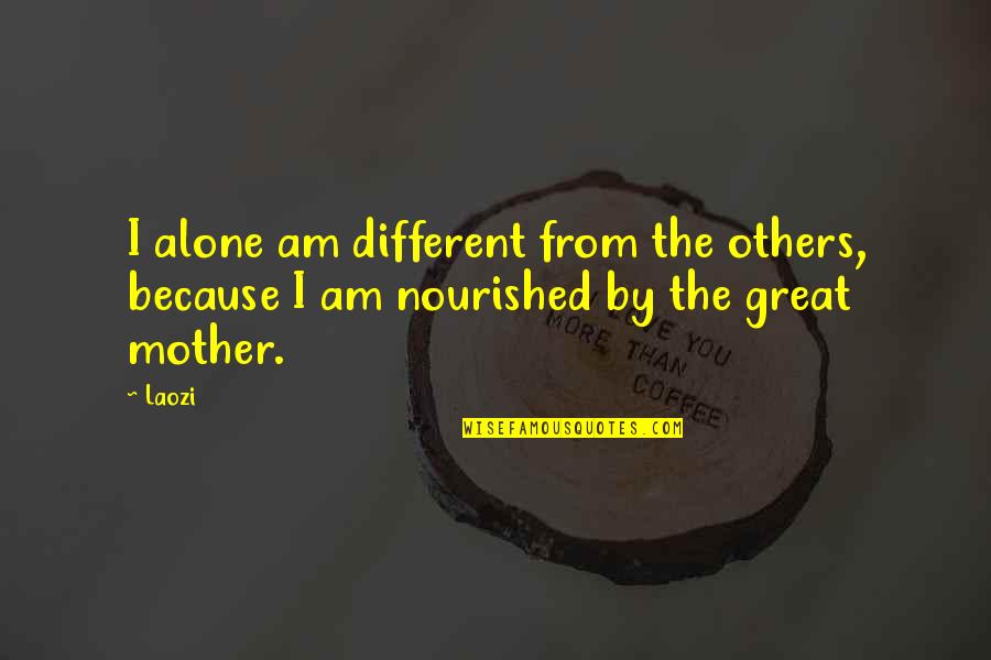 Verbiage For Encouragement Quotes By Laozi: I alone am different from the others, because