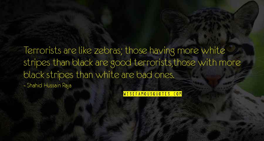 Verborgen Tuin Quotes By Shahid Hussain Raja: Terrorists are like zebras; those having more white Verborgen Tuin Quotes By Shahid Hussain Raja: Terrorists are like zebras; those having more white