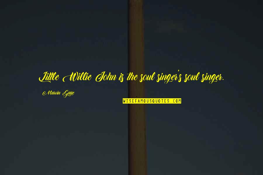 Vercamer Rik Quotes By Marvin Gaye: Little Willie John is the soul singer's soul Vercamer Rik Quotes By Marvin Gaye: Little Willie John is the soul singer's soul