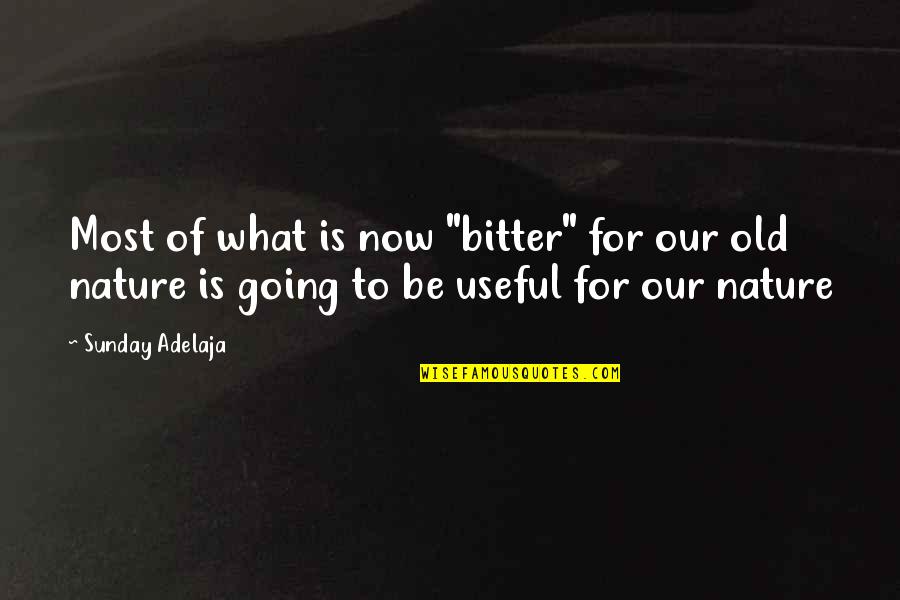 Verderben Jelent Se Quotes By Sunday Adelaja: Most of what is now "bitter" for our Verderben Jelent Se Quotes By Sunday Adelaja: Most of what is now "bitter" for our