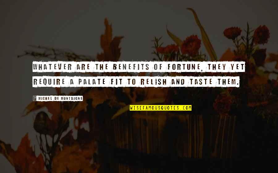 Verduyckt Quotes By Michel De Montaigne: Whatever are the benefits of fortune, they yet