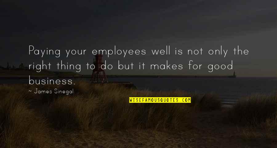 Verdwijnen Frans Quotes By James Sinegal: Paying your employees well is not only the