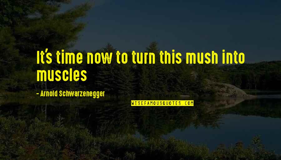 Veress P Ln Quotes By Arnold Schwarzenegger: It's time now to turn this mush into