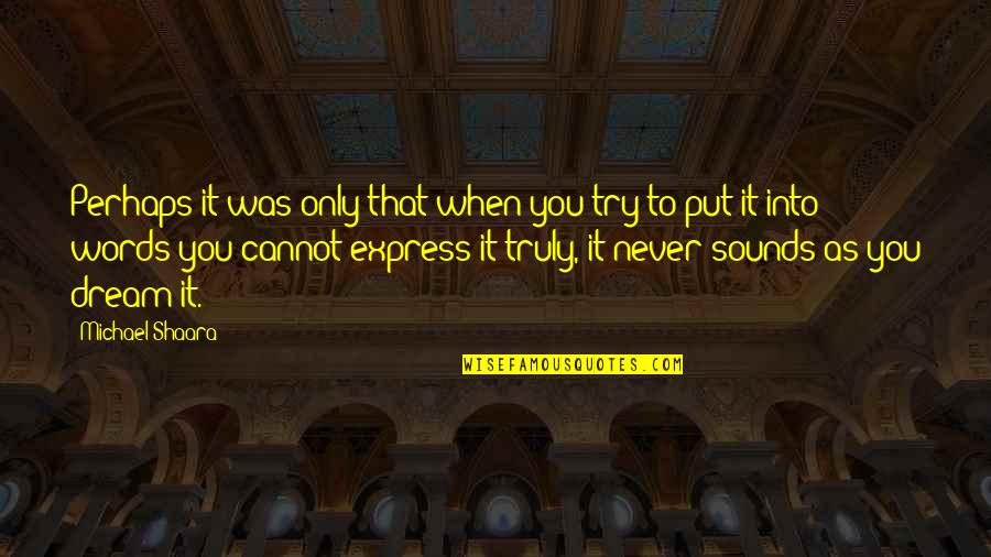 Vergata Quotes By Michael Shaara: Perhaps it was only that when you try Vergata Quotes By Michael Shaara: Perhaps it was only that when you try