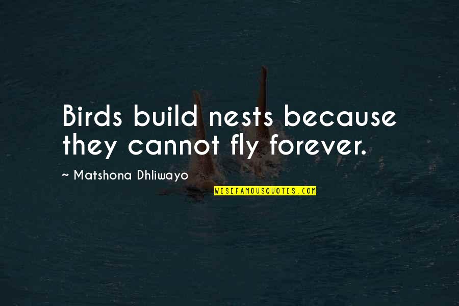 Vergessen Quotes By Matshona Dhliwayo: Birds build nests because they cannot fly forever. Vergessen Quotes By Matshona Dhliwayo: Birds build nests because they cannot fly forever.