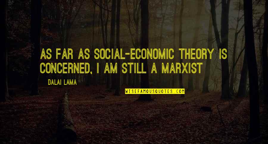 Vergezeld Quotes By Dalai Lama: As far as social-economic theory is concerned, I