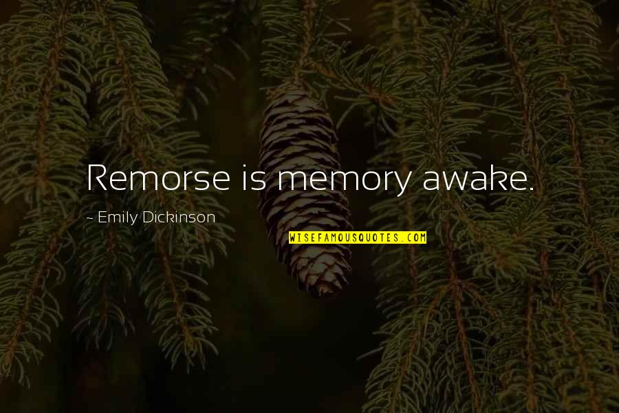Vergonzosa Sinonimos Quotes By Emily Dickinson: Remorse is memory awake.