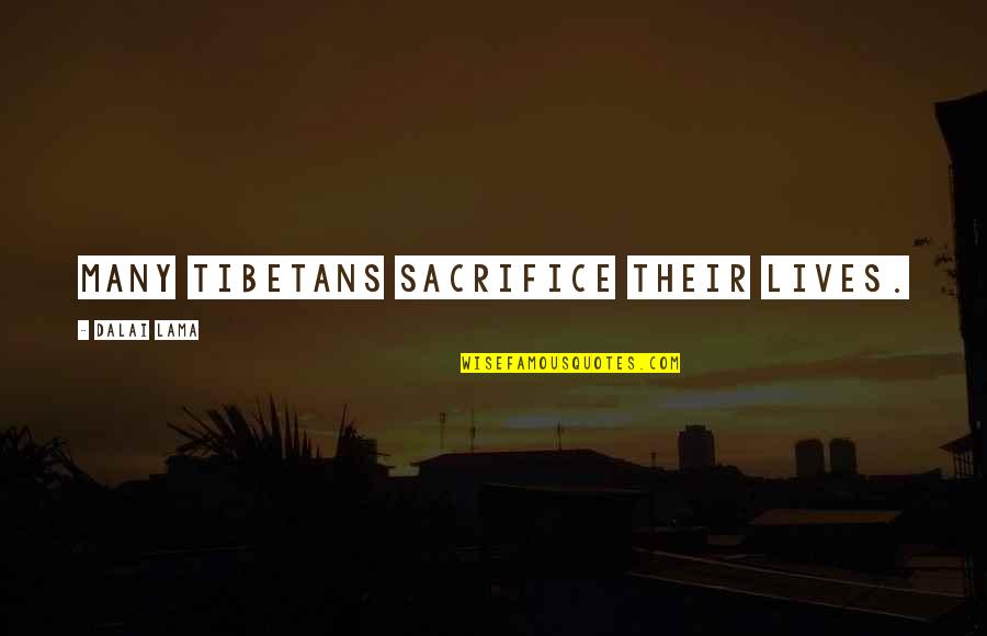 Verhaert Apotheek Quotes By Dalai Lama: Many Tibetans sacrifice their lives. Verhaert Apotheek Quotes By Dalai Lama: Many Tibetans sacrifice their lives.