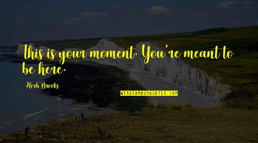 Verheimlichtes Quotes By Herb Brooks: This is your moment. You're meant to be Verheimlichtes Quotes By Herb Brooks: This is your moment. You're meant to be