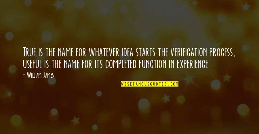 Verification Quotes By William James: True is the name for whatever idea starts