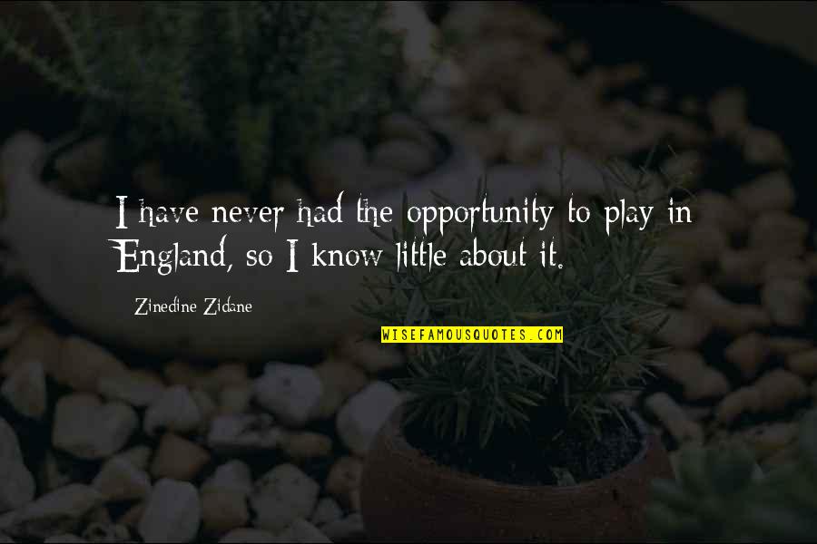 Verkligen Synonym Quotes By Zinedine Zidane: I have never had the opportunity to play