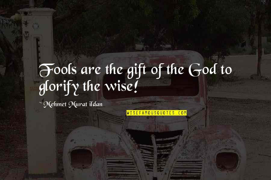 Vermeidungsstrategie Quotes By Mehmet Murat Ildan: Fools are the gift of the God to