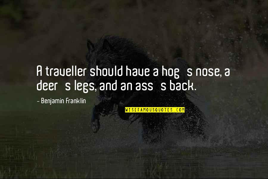 Vermeil Gold Quotes By Benjamin Franklin: A traveller should have a hog's nose, a