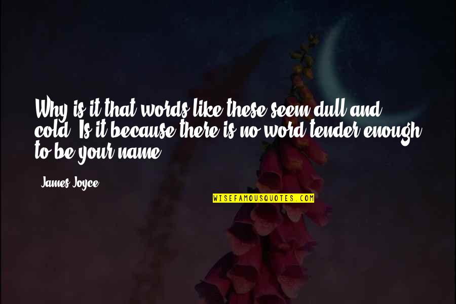Vermintide Bardin Quotes By James Joyce: Why is it that words like these seem Vermintide Bardin Quotes By James Joyce: Why is it that words like these seem