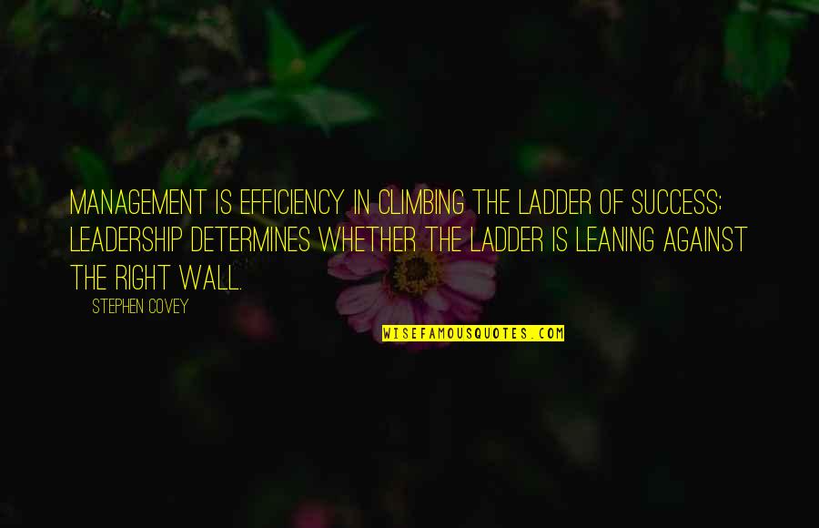 Vermoulu In Ghosts Quotes By Stephen Covey: Management is efficiency in climbing the ladder of Vermoulu In Ghosts Quotes By Stephen Covey: Management is efficiency in climbing the ladder of