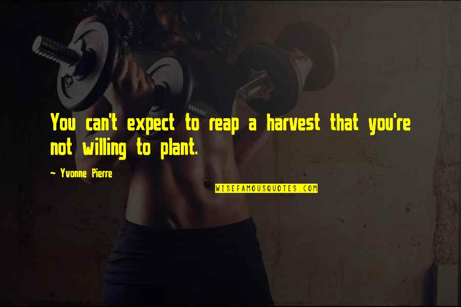 Verne Harnish Quotes By Yvonne Pierre: You can't expect to reap a harvest that