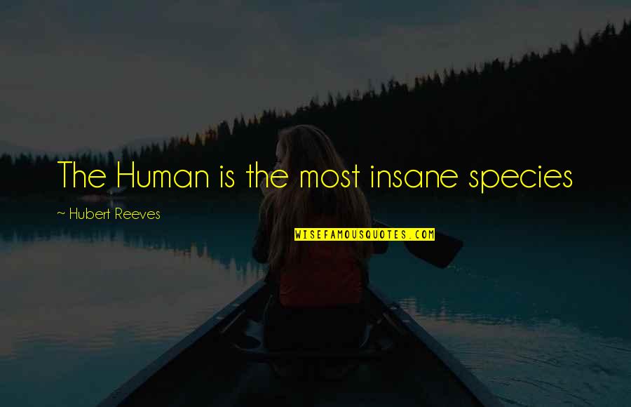 Vernunft In English Quotes By Hubert Reeves: The Human is the most insane species Vernunft In English Quotes By Hubert Reeves: The Human is the most insane species