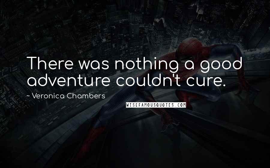 Veronica Chambers quotes: There was nothing a good adventure couldn't cure.