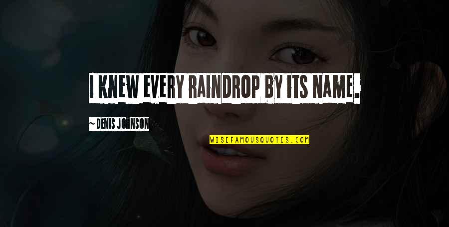 Verotus Saksassa Quotes By Denis Johnson: I knew every raindrop by its name. Verotus Saksassa Quotes By Denis Johnson: I knew every raindrop by its name.
