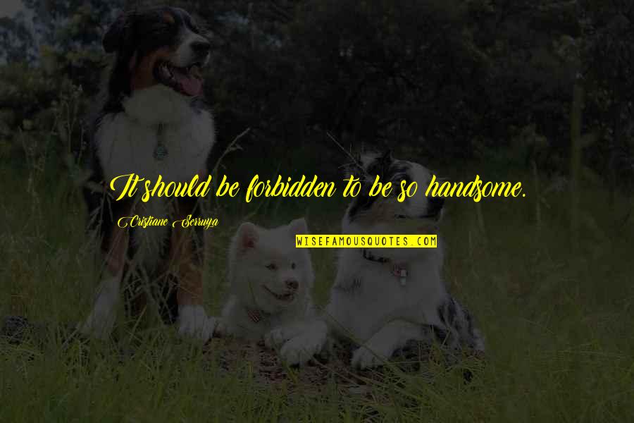 Verrieres Du Quotes By Cristiane Serruya: It should be forbidden to be so handsome. Verrieres Du Quotes By Cristiane Serruya: It should be forbidden to be so handsome.