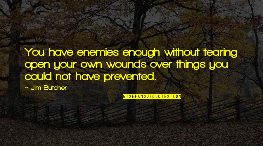 Versailles Garden Quotes By Jim Butcher: You have enemies enough without tearing open your Versailles Garden Quotes By Jim Butcher: You have enemies enough without tearing open your