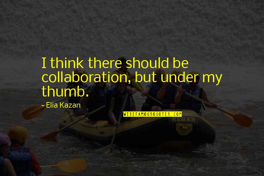 Verschuren Drankencentrale Quotes By Elia Kazan: I think there should be collaboration, but under