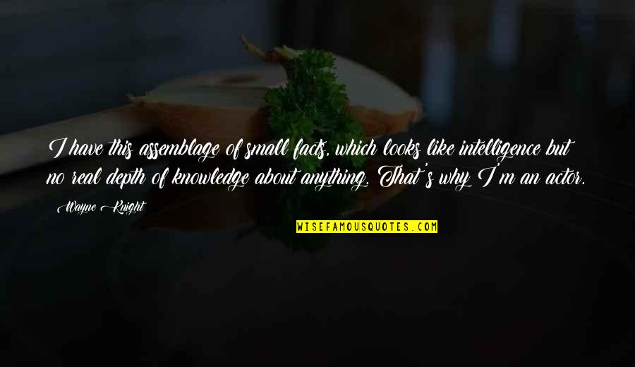 Verschwiegene Quotes By Wayne Knight: I have this assemblage of small facts, which Verschwiegene Quotes By Wayne Knight: I have this assemblage of small facts, which